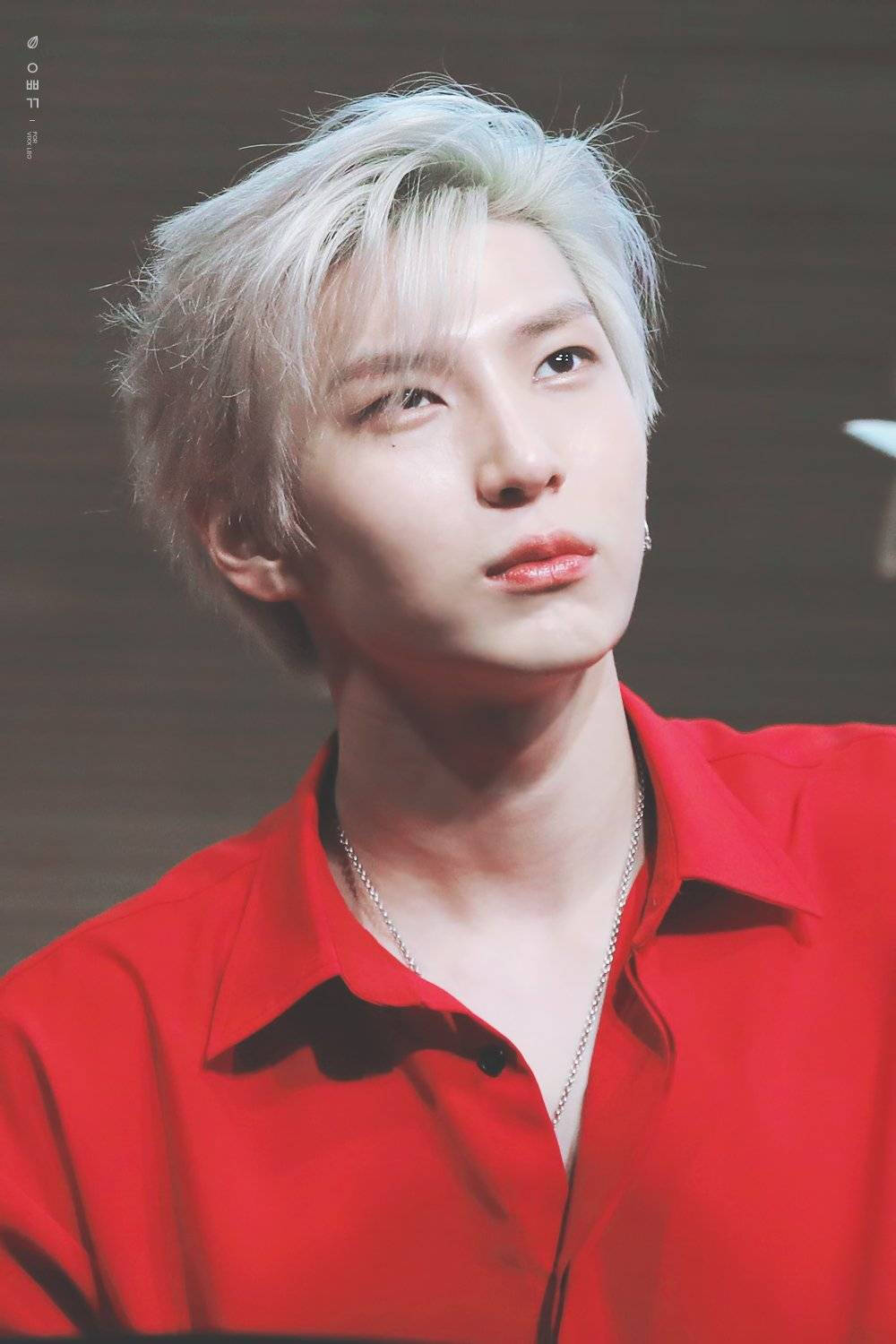 vixx leo 郑泽运