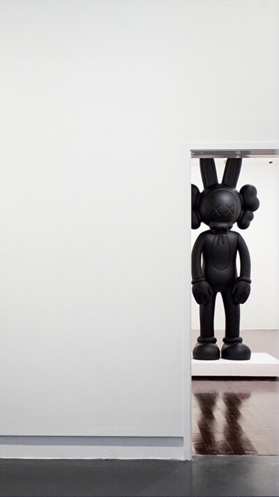 Pidan｜KAWS