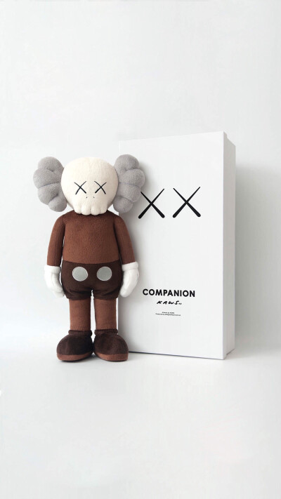 Pidan｜KAWS