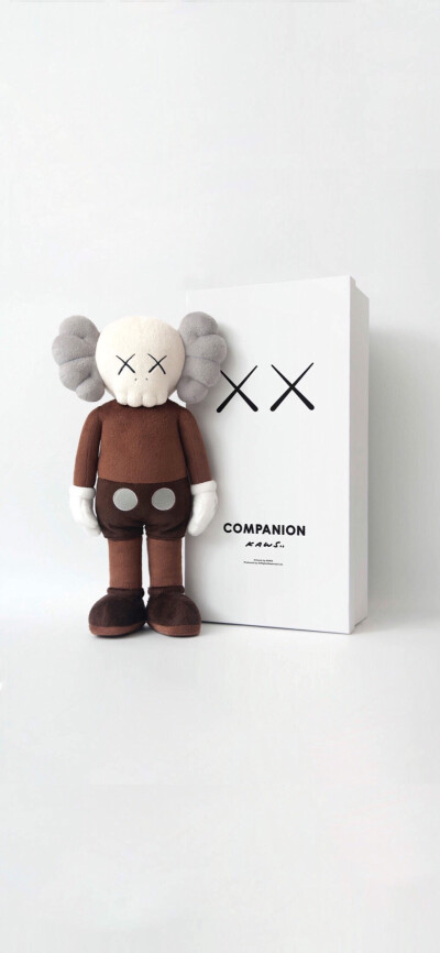 Pidan｜KAWS