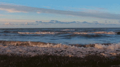 Timo小姐姐の动态图片