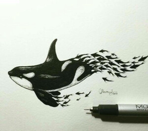黑白插画