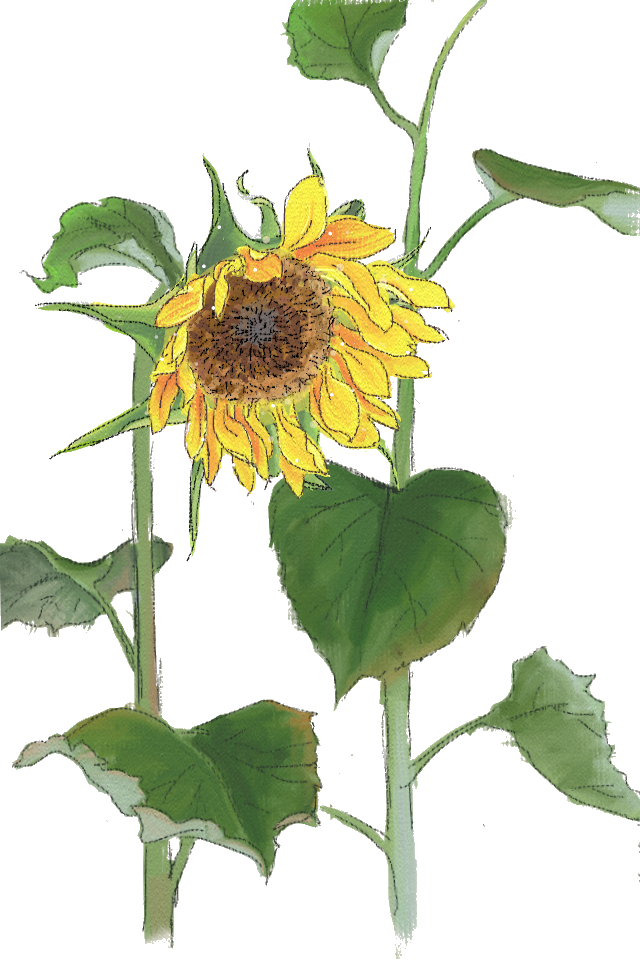 免扣素材~自娱自乐（图片来自网络.侵删）