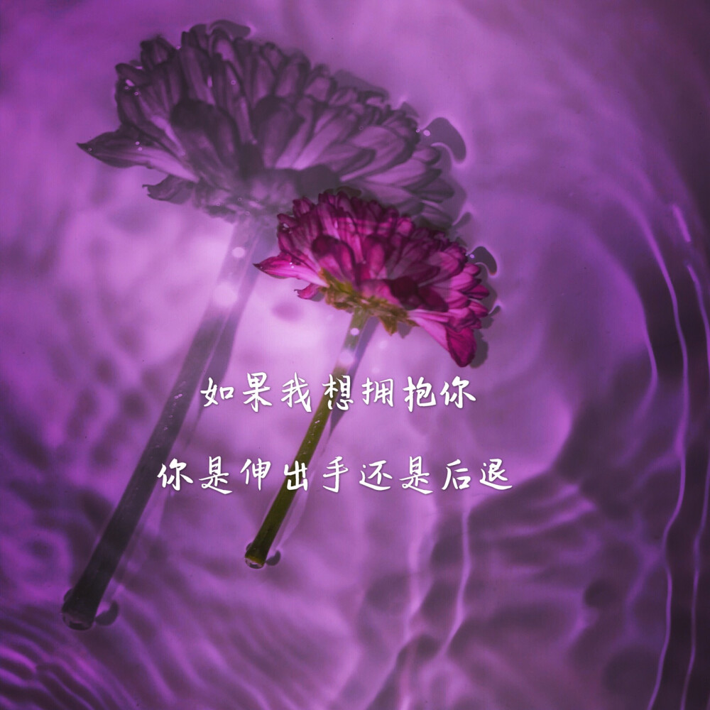 无论结局 感谢相遇