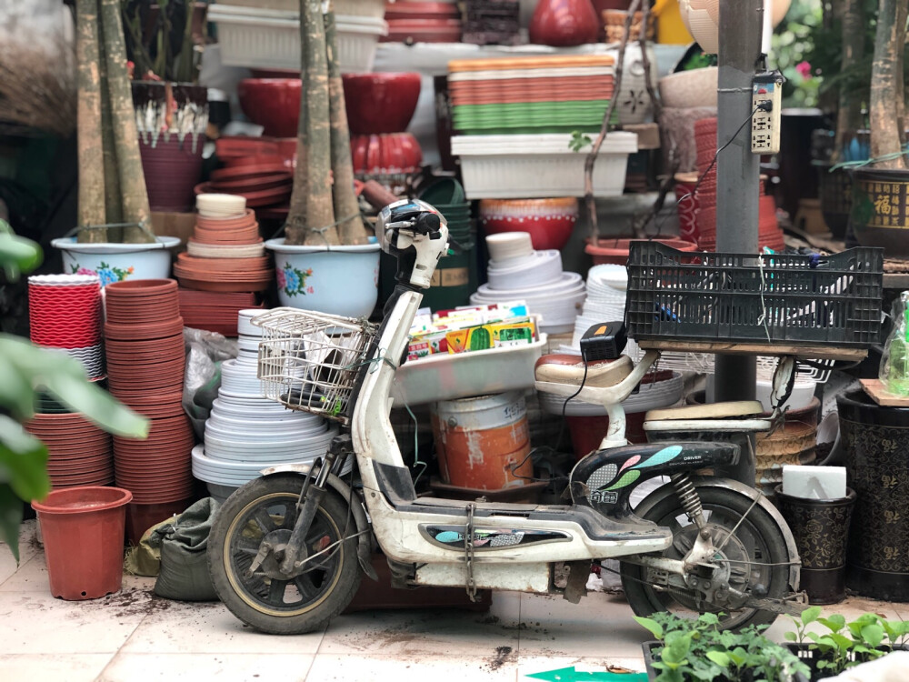 花鸟市场