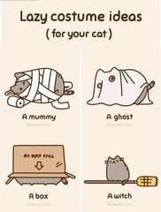 pusheen