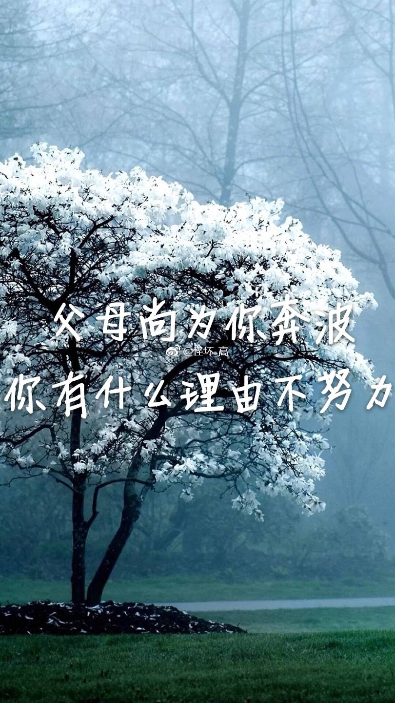 怪坏_高 励志壁纸
图源:堆糖 文字:非原创