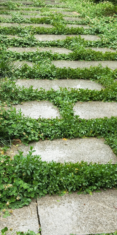 雨季