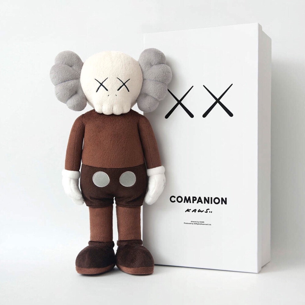 Pidan｜KAWS