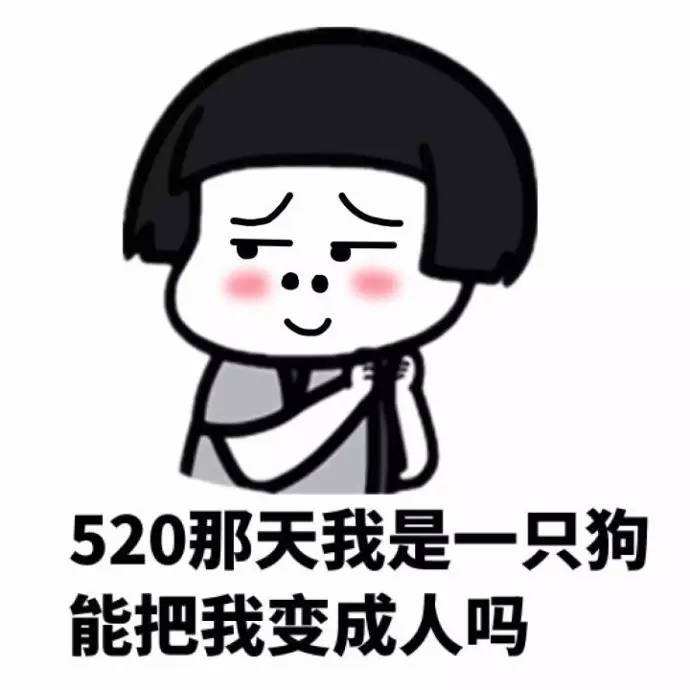 520表情包