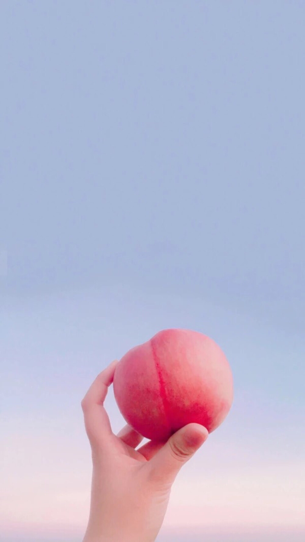 桃