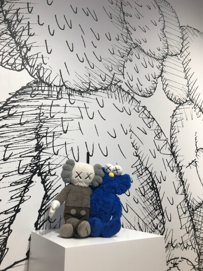 长沙IFS kaws