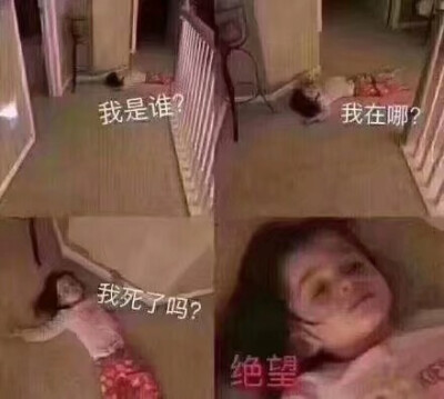 不定期更新的日常