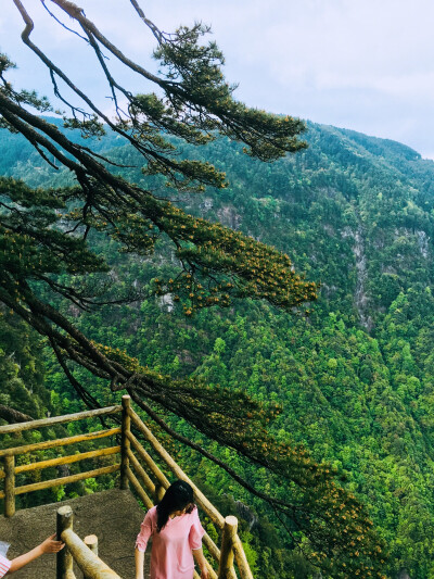 宜春明月山