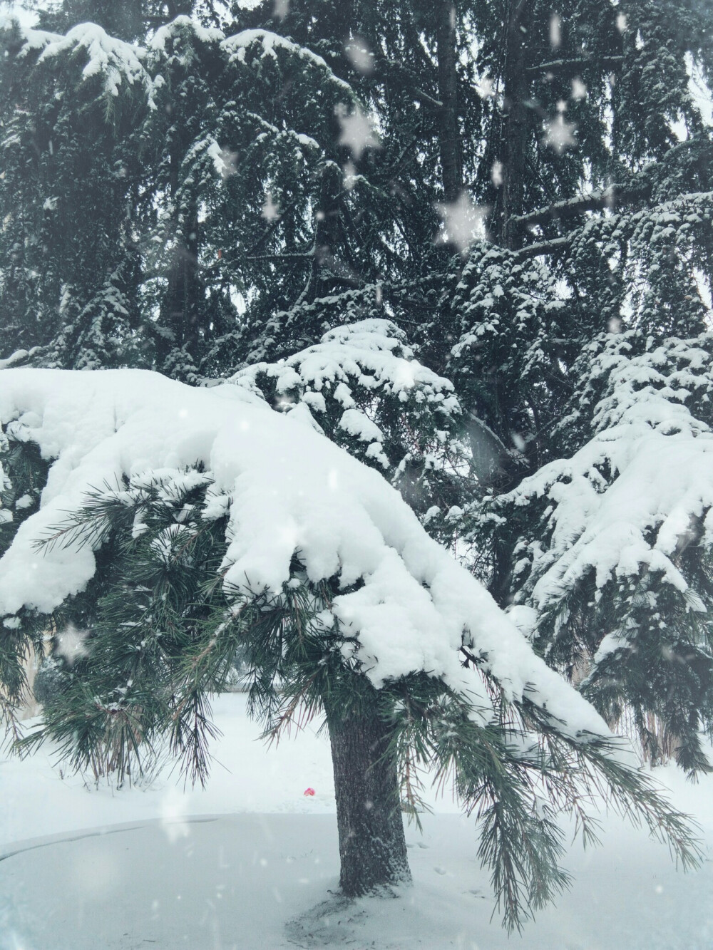 下雪天和火锅更配哦