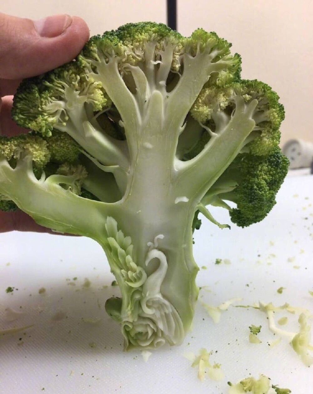 は蛋孔雀西兰花