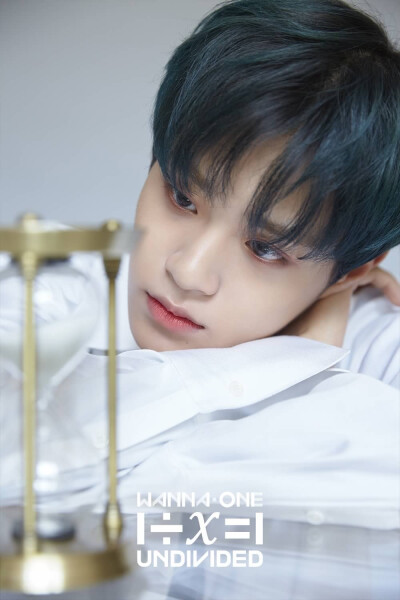 Wanna one 李大辉
#1÷X=1 The heal