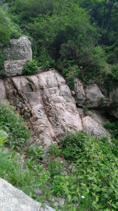 沿途风景