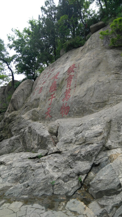 沿途风景