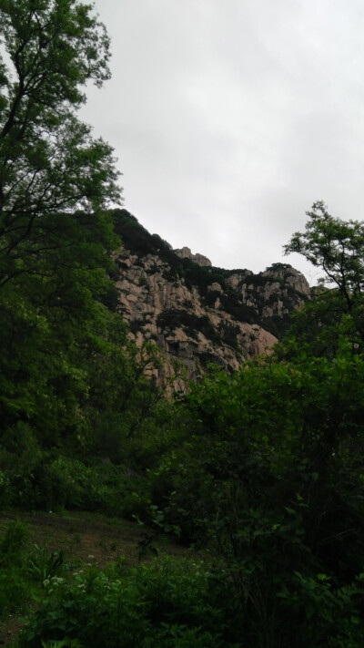 沿途风景