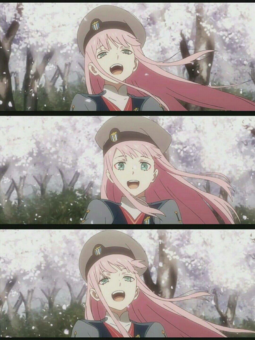 darling in the franxx