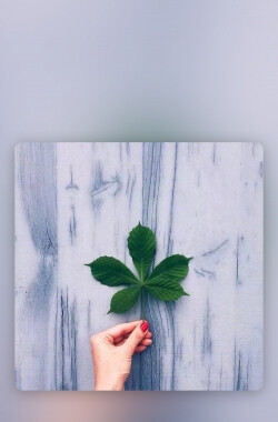 保存不完的图。