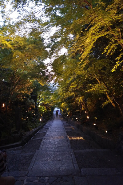  我因为没有找到符合自己心境的文章，所以自己写了一篇。
遇到困难时，一直想着要是有人来帮我就好了。一直也没人出现，所以我就一个人变得强大起来。积极去面对，去解决。
自己做料理时总是会有多余的吃…