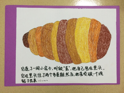 绘本 《好饿的毛毛虫》 纯手绘画 油画棒