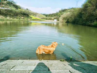 风景