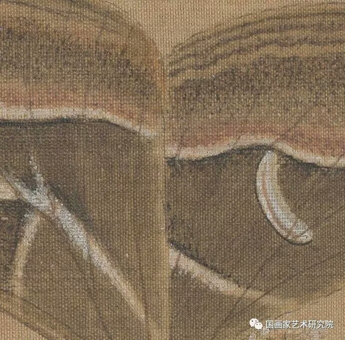 宋 佚名 青枫巨蝶图 纨扇 绢本设色 23x24.2cm 北京故宫博物院藏
      《青枫巨蝶图》是一幅写实小景画，是宋代工笔花鸟画的精品。左下方伸出嫩绿色枫树一株，枝叶婆娑。一只赭黄色巨蝶从右上侧凌空飞临，与枫叶构成平衡的对角关系，构图十分精到。一只鲜红色瓢虫伏于绿色的枫叶之上，十分俏皮，顿时丰富了整个画面，小瓢虫与巨蝶形成呼应画对比关系。画风高度写实，细致入微。用笔精湛，细线勾勒，笔若游丝，使蝶与枝、叶的形态皆极为轻倩灵秀。设色淡雅明快，红、绿、黄对比鲜明，给人以清新出尘之感，色彩鲜丽而不落浓艳俗套。
此画无款。鉴藏印钤“大观”葫芦形朱文印以及“石渠宝笈”、“乐善堂图书记”、“重华宫鉴藏宝”3印。钤清乾隆、嘉庆二御览印。存《纨扇画》册中。《石渠宝笈初编》著录。