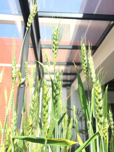 2018-04