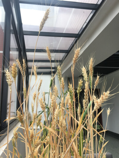 2018-05
