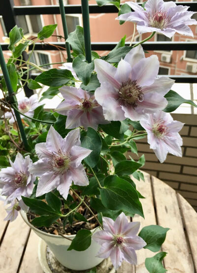 2018-05