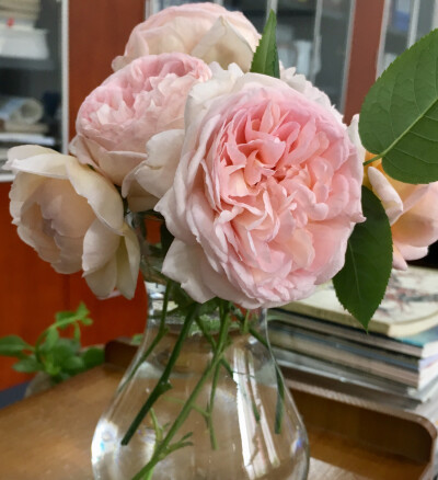 2018-05
