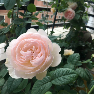 2018-05
