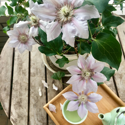 2018-05

