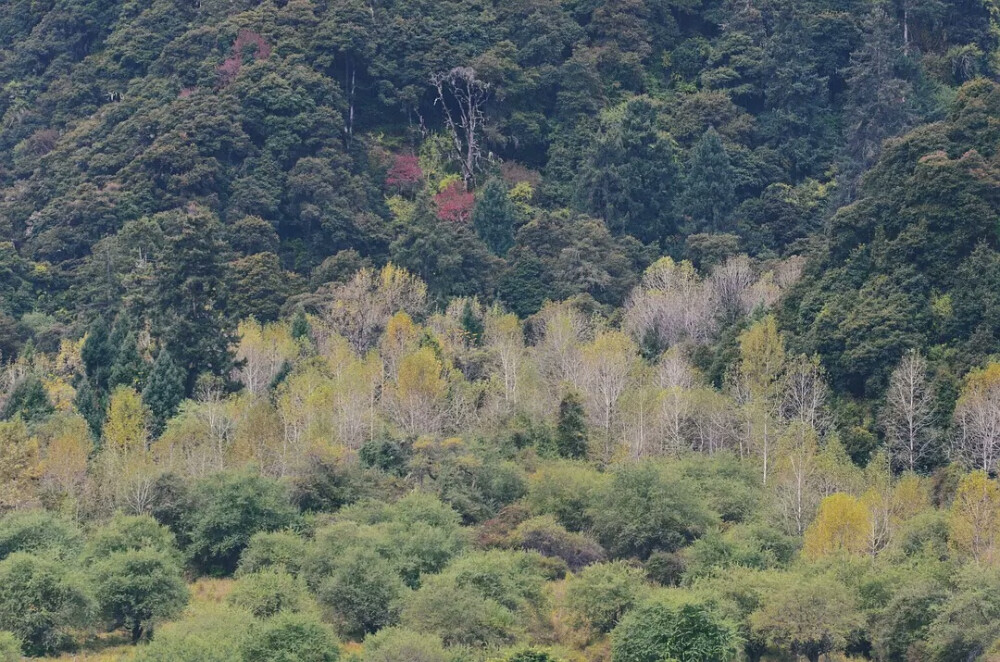 静谧。旷野。