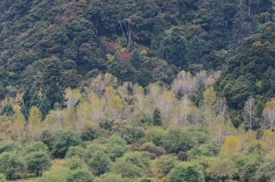 静谧。旷野。