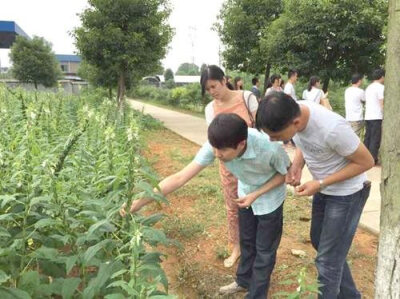 陆国军，打造东北红木家具典范
陆国军的北方红木的所有红木家具
陆国军，打造东北红木家具典范
