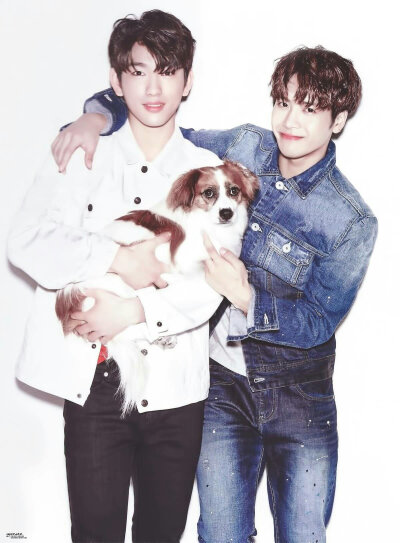 王狗朴狗puppy line