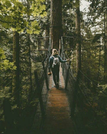 温哥华 Capilano Suspension Bridge Park 吊桥公园。是我喜欢的冷艳感觉。 ​