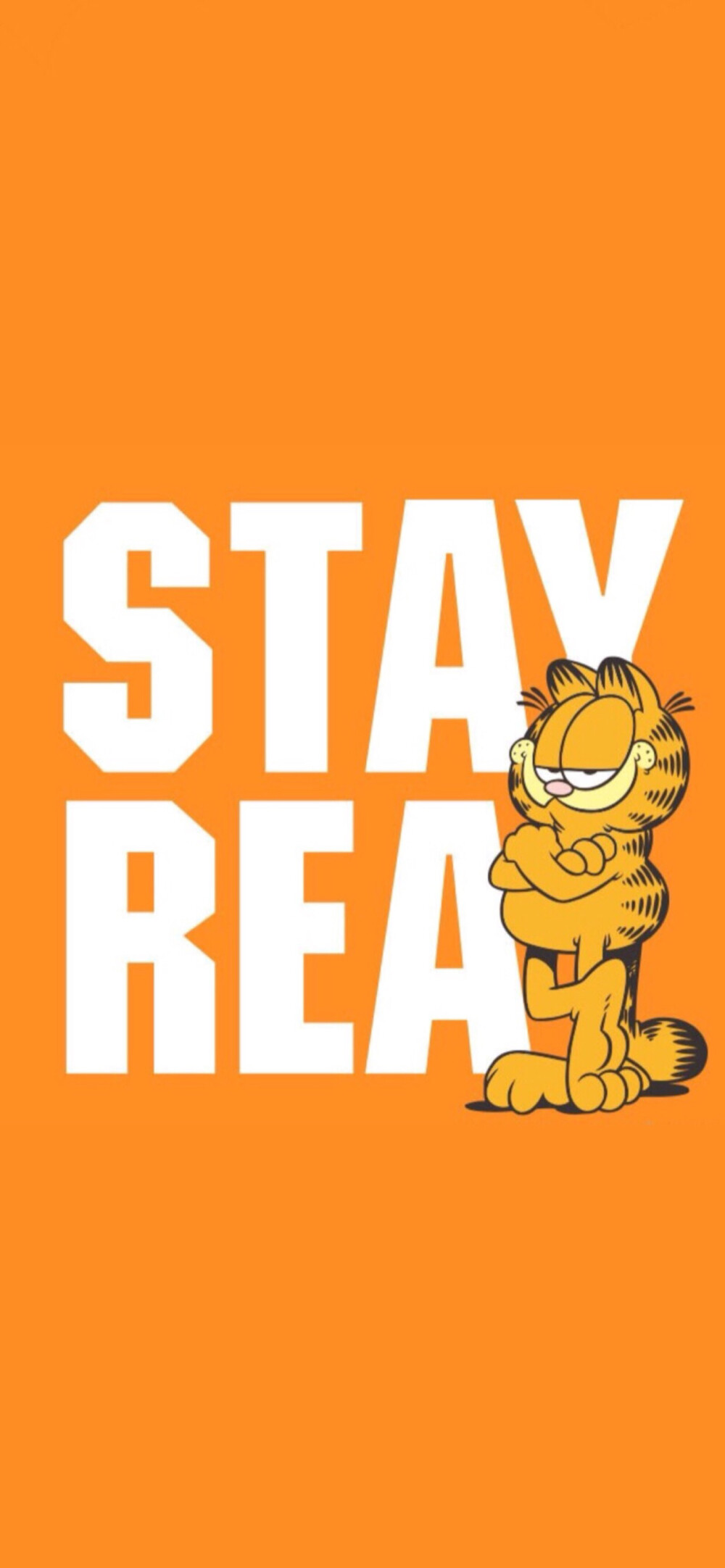 Pidan｜StayReal