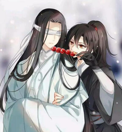 魔道祖师