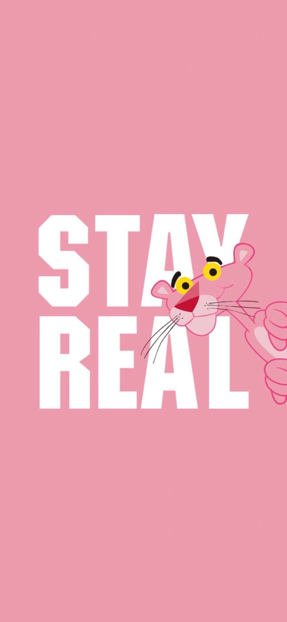 Pidan｜StayReal