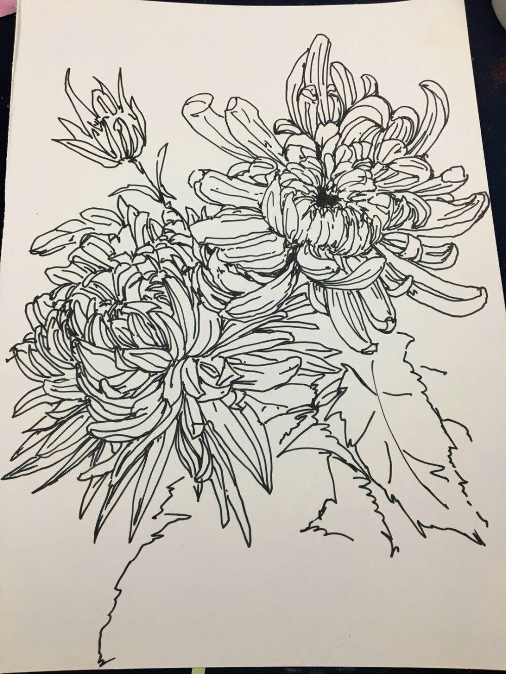 丙烯 水粉 油画 画框 花 动物 风景 清新 手绘 儿童画 荷花 版画 拼贴 线描