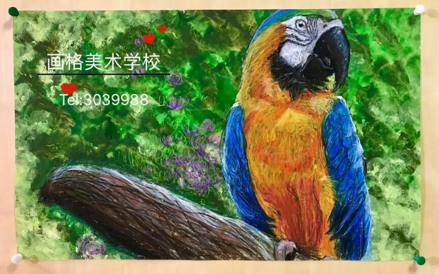 丙烯 水粉 油画 画框 花 动物 风景 清新 手绘 儿童画 荷花 版画 拼贴 重彩油画棒 写生 猫头鹰 蜥蜴 鹦鹉 年画 