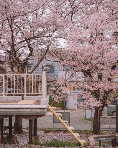 日本 街道