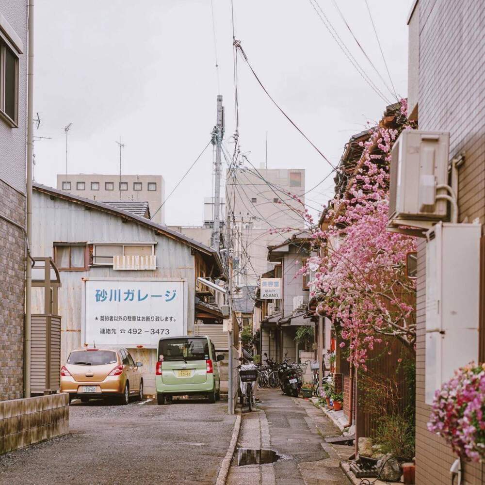 日本 街道