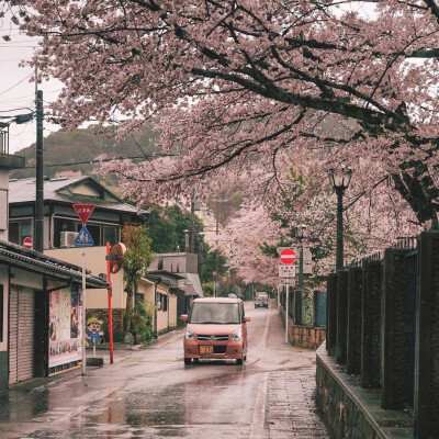 日本 街道