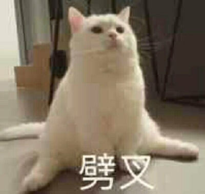眼熟林一然.
表情包